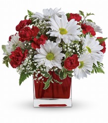 Red And White Delight Flower Power, Florist Davenport FL